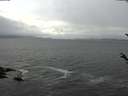 ./images/koeye/fitz-hugh/20180322/fitz-hugh20180322_160303.jpg