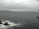 ./images/koeye/fitz-hugh/20180326/fitz-hugh20180326_120302.jpg