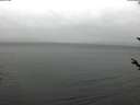 ./images/koeye/fitz-hugh/20180329/fitz-hugh20180329_120302.jpg