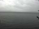 ./images/koeye/fitz-hugh/20180329/fitz-hugh20180329_123301.jpg