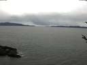 ./images/koeye/fitz-hugh/20180402/fitz-hugh20180402_123302.jpg