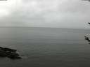 ./images/koeye/fitz-hugh/20180402/fitz-hugh20180402_180303.jpg