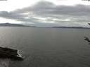 ./images/koeye/fitz-hugh/20180405/fitz-hugh20180405_140301.jpg