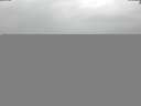 ./images/koeye/fitz-hugh/20180406/fitz-hugh20180406_121803.jpg