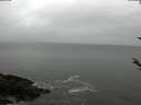 ./images/koeye/fitz-hugh/20180406/fitz-hugh20180406_122703.jpg