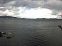 ./images/koeye/fitz-hugh/20180410/fitz-hugh20180410_100302.jpg