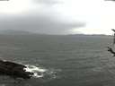 ./images/koeye/fitz-hugh/20180410/fitz-hugh20180410_160302.jpg