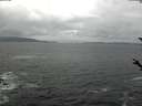./images/koeye/fitz-hugh/20180414/fitz-hugh20180414_122402.jpg