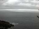 ./images/koeye/fitz-hugh/20180428/fitz-hugh20180428_060303.jpg