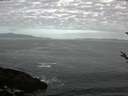 ./images/koeye/fitz-hugh/20180429/fitz-hugh20180429_080301.jpg