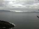 ./images/koeye/fitz-hugh/20180430/fitz-hugh20180430_080302.jpg