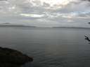 ./images/koeye/fitz-hugh/20180502/fitz-hugh20180502_080303.jpg