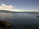 ./images/koeye/fitz-hugh/20180506/fitz-hugh20180506_122402.jpg