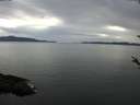 ./images/koeye/fitz-hugh/20180508/fitz-hugh20180508_170903.jpg