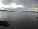 ./images/koeye/fitz-hugh/20180508/fitz-hugh20180508_171202.jpg