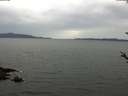 ./images/koeye/fitz-hugh/20180508/fitz-hugh20180508_193501.jpg