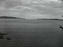./images/koeye/fitz-hugh/20180508/fitz-hugh20180508_215001.jpg