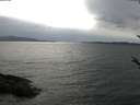 ./images/koeye/fitz-hugh/20180509/fitz-hugh20180509_163502.jpg