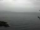 ./images/koeye/fitz-hugh/20180509/fitz-hugh20180509_182501.jpg