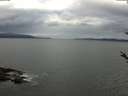 ./images/koeye/fitz-hugh/20180510/fitz-hugh20180510_075502.jpg