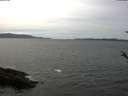 ./images/koeye/fitz-hugh/20180511/fitz-hugh20180511_150501.jpg