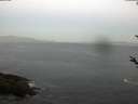 ./images/koeye/fitz-hugh/20180515/fitz-hugh20180515_051501.jpg