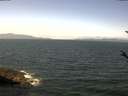 ./images/koeye/fitz-hugh/20180517/fitz-hugh20180517_123501.jpg