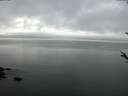 ./images/koeye/fitz-hugh/20180518/fitz-hugh20180518_052502.jpg