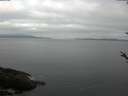 ./images/koeye/fitz-hugh/20180518/fitz-hugh20180518_073502.jpg