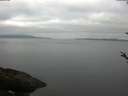 ./images/koeye/fitz-hugh/20180518/fitz-hugh20180518_075002.jpg