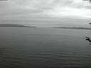 ./images/koeye/fitz-hugh/20180519/fitz-hugh20180519_045501.jpg
