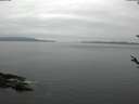 ./images/koeye/fitz-hugh/20180519/fitz-hugh20180519_065502.jpg