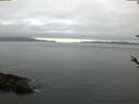 ./images/koeye/fitz-hugh/20180519/fitz-hugh20180519_072502.jpg