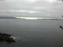 ./images/koeye/fitz-hugh/20180519/fitz-hugh20180519_073502.jpg