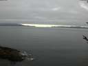 ./images/koeye/fitz-hugh/20180519/fitz-hugh20180519_075502.jpg