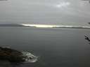 ./images/koeye/fitz-hugh/20180519/fitz-hugh20180519_080501.jpg