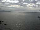 ./images/koeye/fitz-hugh/20180519/fitz-hugh20180519_163502.jpg