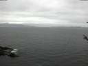 ./images/koeye/fitz-hugh/20180519/fitz-hugh20180519_192502.jpg