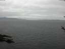 ./images/koeye/fitz-hugh/20180519/fitz-hugh20180519_194502.jpg