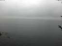 ./images/koeye/fitz-hugh/20180520/fitz-hugh20180520_061001.jpg