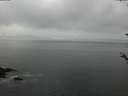 ./images/koeye/fitz-hugh/20180520/fitz-hugh20180520_070502.jpg