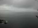 ./images/koeye/fitz-hugh/20180520/fitz-hugh20180520_071002.jpg