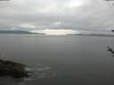 ./images/koeye/fitz-hugh/20180520/fitz-hugh20180520_084501.jpg