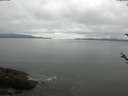 ./images/koeye/fitz-hugh/20180520/fitz-hugh20180520_092001.jpg