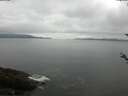 ./images/koeye/fitz-hugh/20180520/fitz-hugh20180520_092502.jpg