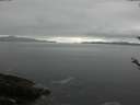 ./images/koeye/fitz-hugh/20180520/fitz-hugh20180520_094502.jpg