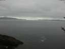 ./images/koeye/fitz-hugh/20180520/fitz-hugh20180520_095002.jpg