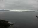 ./images/koeye/fitz-hugh/20180520/fitz-hugh20180520_095502.jpg