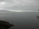 ./images/koeye/fitz-hugh/20180520/fitz-hugh20180520_100002.jpg
