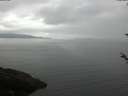 ./images/koeye/fitz-hugh/20180520/fitz-hugh20180520_101002.jpg